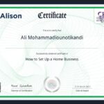 Ali Mohammadioun - Alison Home business