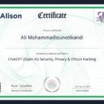 Ali Mohammadioun - Alison Open AI Security