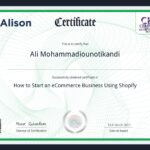 Ali Mohammadioun - Alison Shopify ecommerce